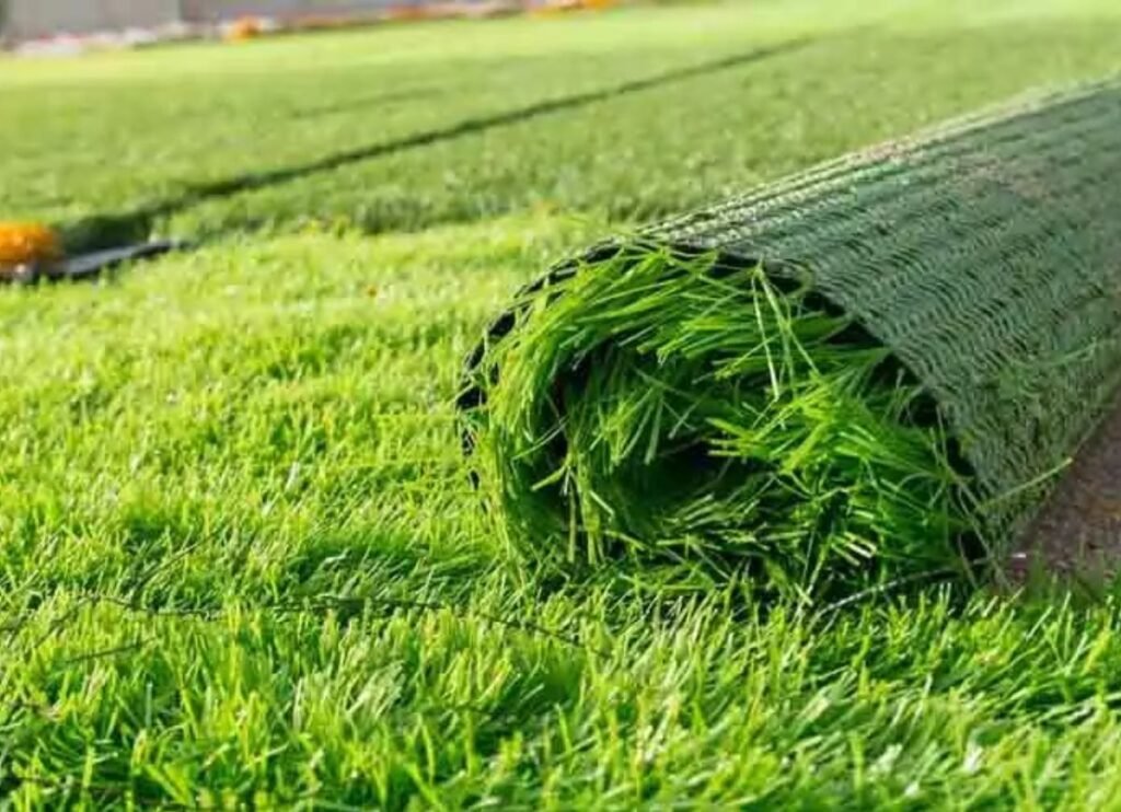 Projeto-Blog-1200-x-870-px-1200-x-870-px-40-1024x742 Gramado sintético ou natural